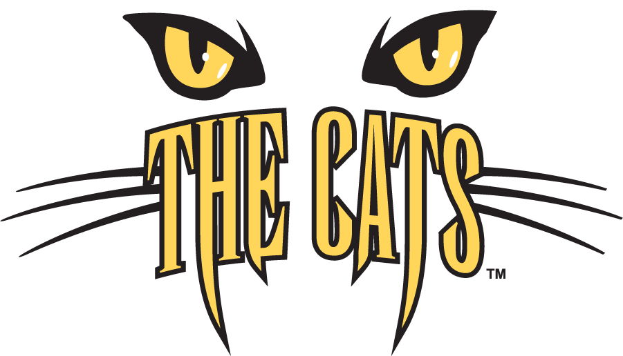 Western Carolina Catamounts 1996-2003 Secondary Logo diy iron on heat transfer